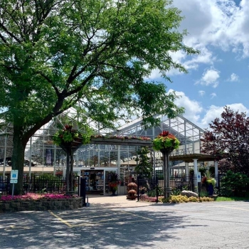 Village Green Home and Garden